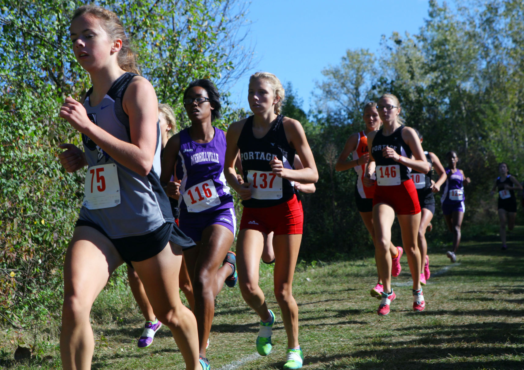 Gallery: Duneland Athletic Conference cross country meet